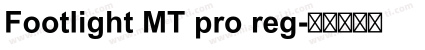 Footlight MT pro reg字体转换